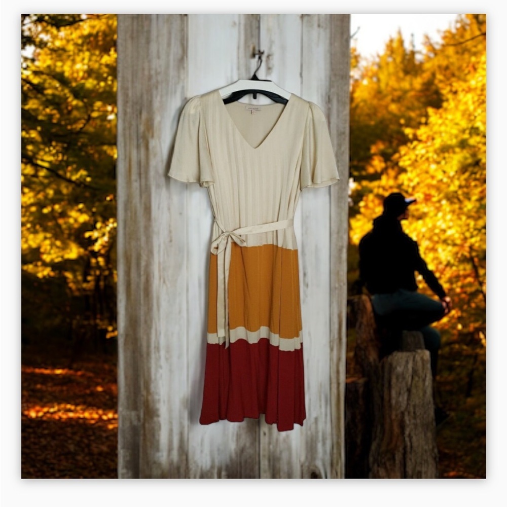 Skies are Blue Mustard and Maroon Color block Maxi Dress--EUC Sz 1X- FALL 🍂😍​ - Picture 5 of 14